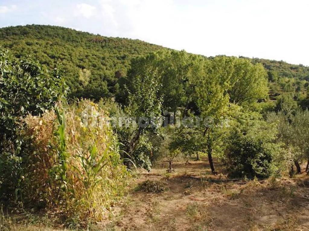 Terreno