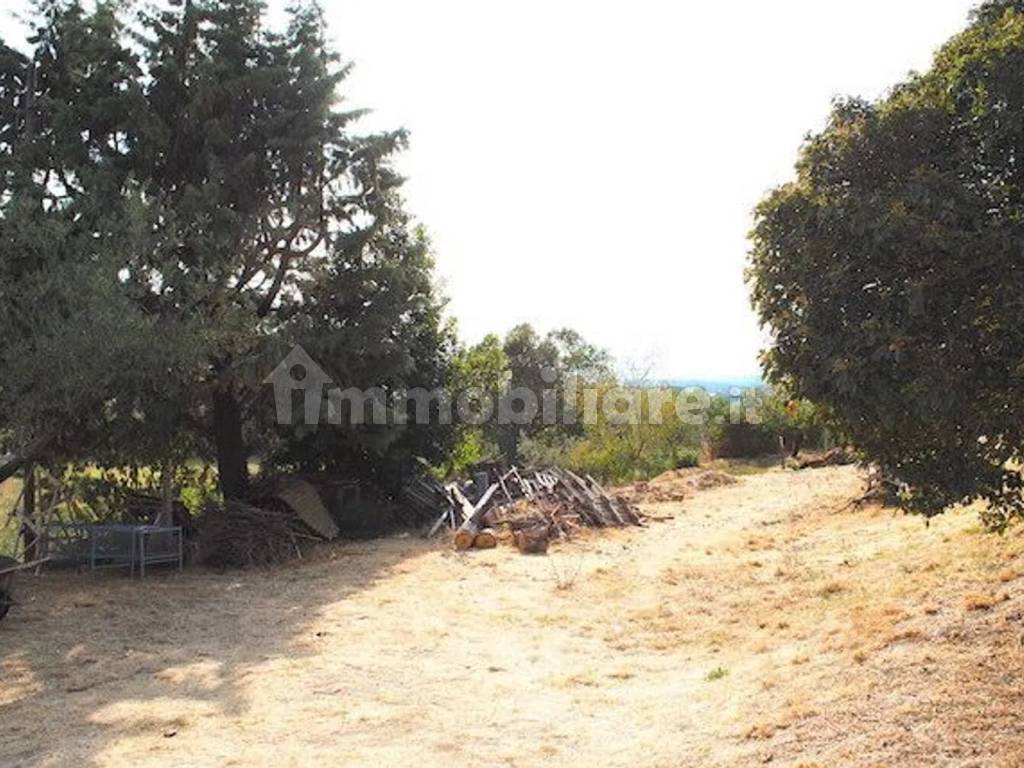 Terreno