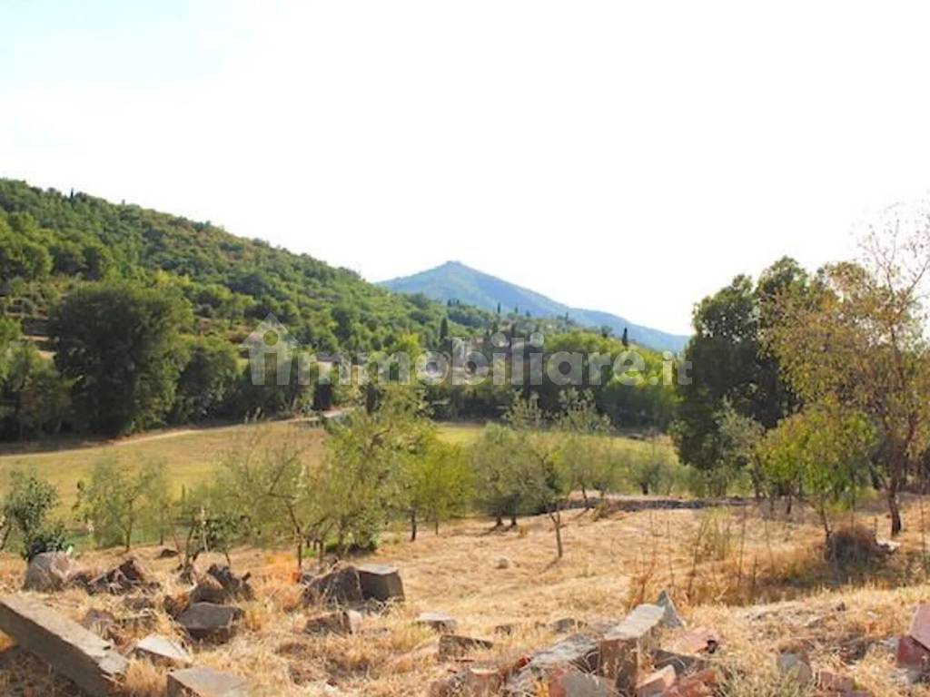 Terreno