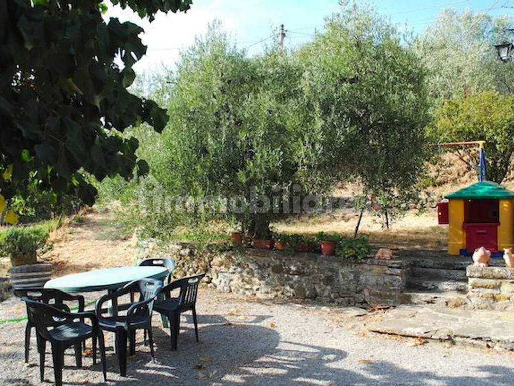 Giardino