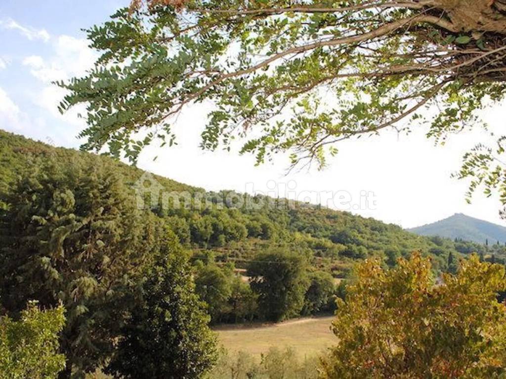 Vista