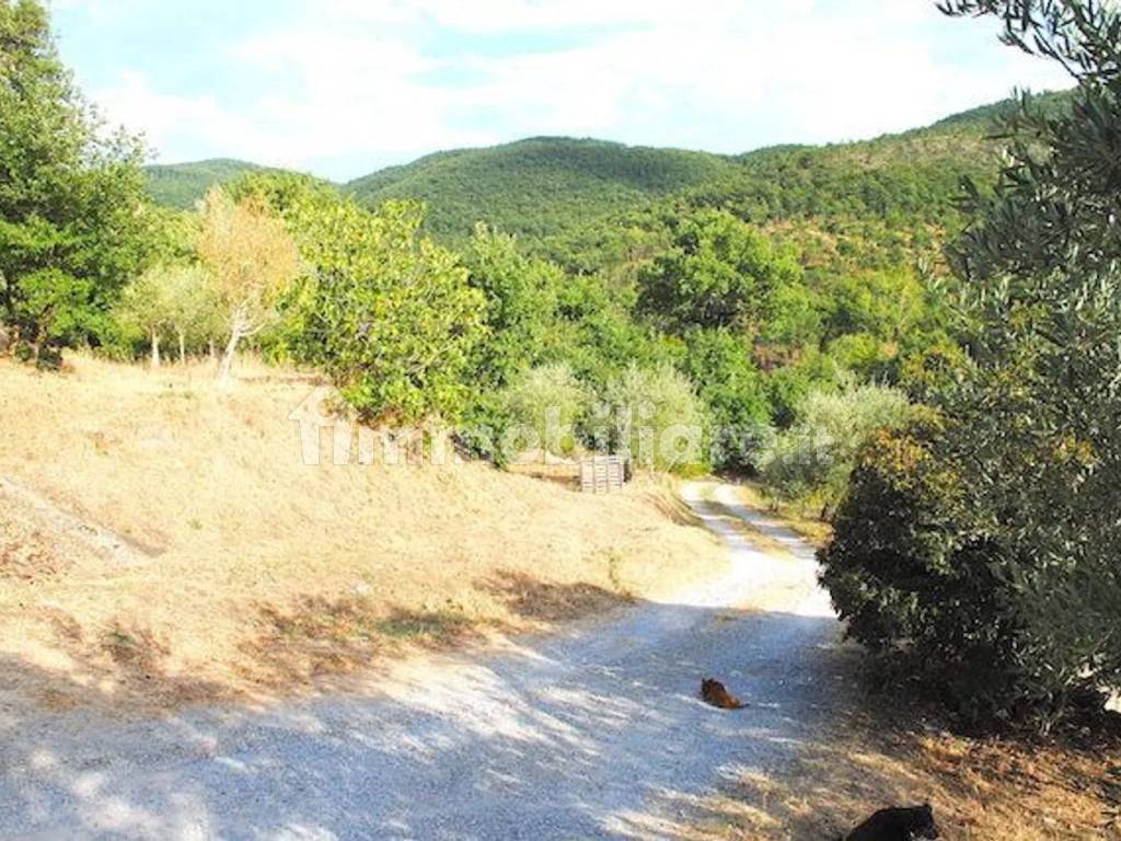 Terreno
