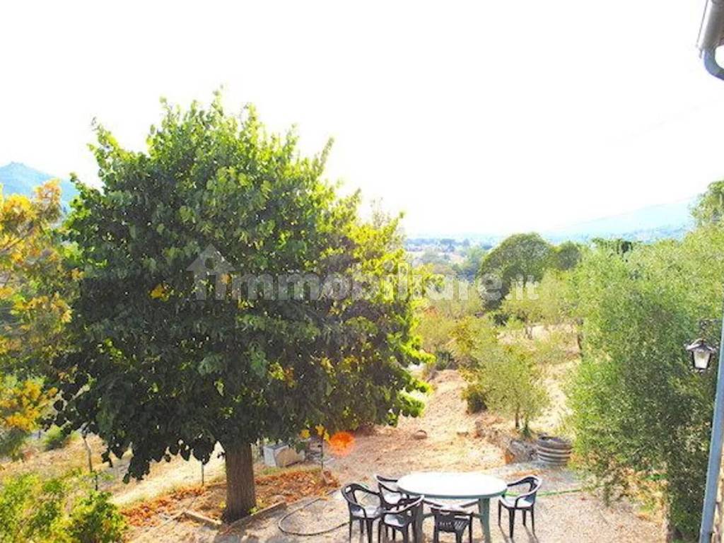 Giardino