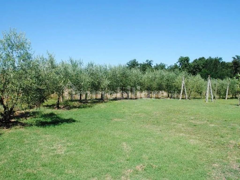 Terreno