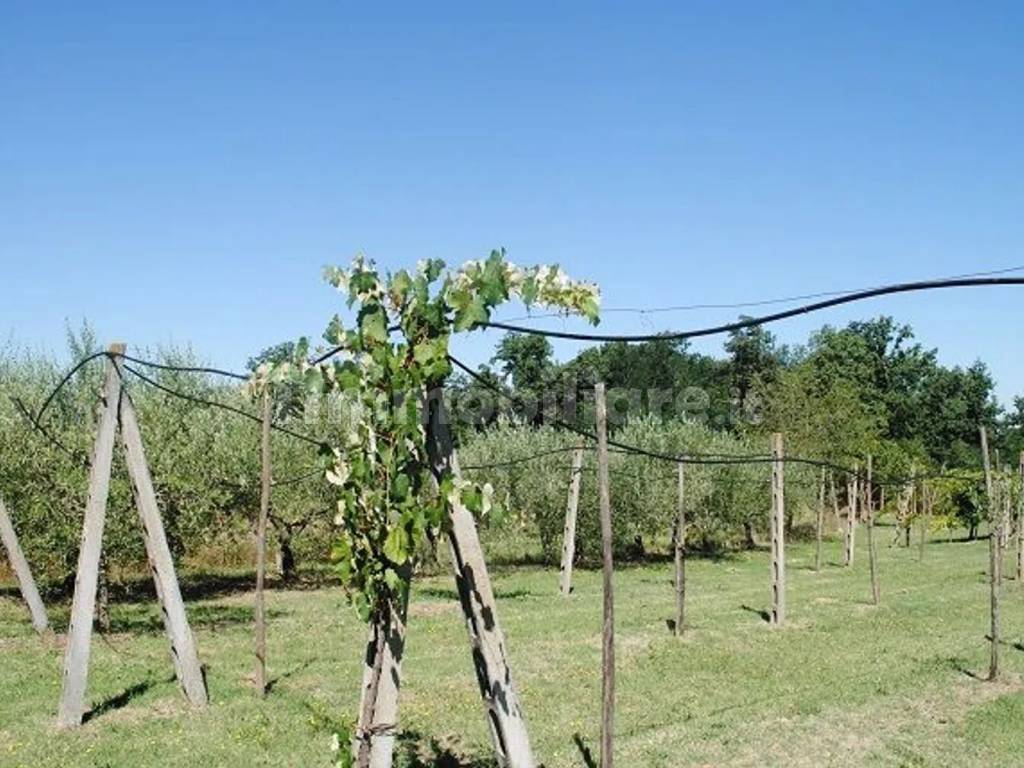 Terreno