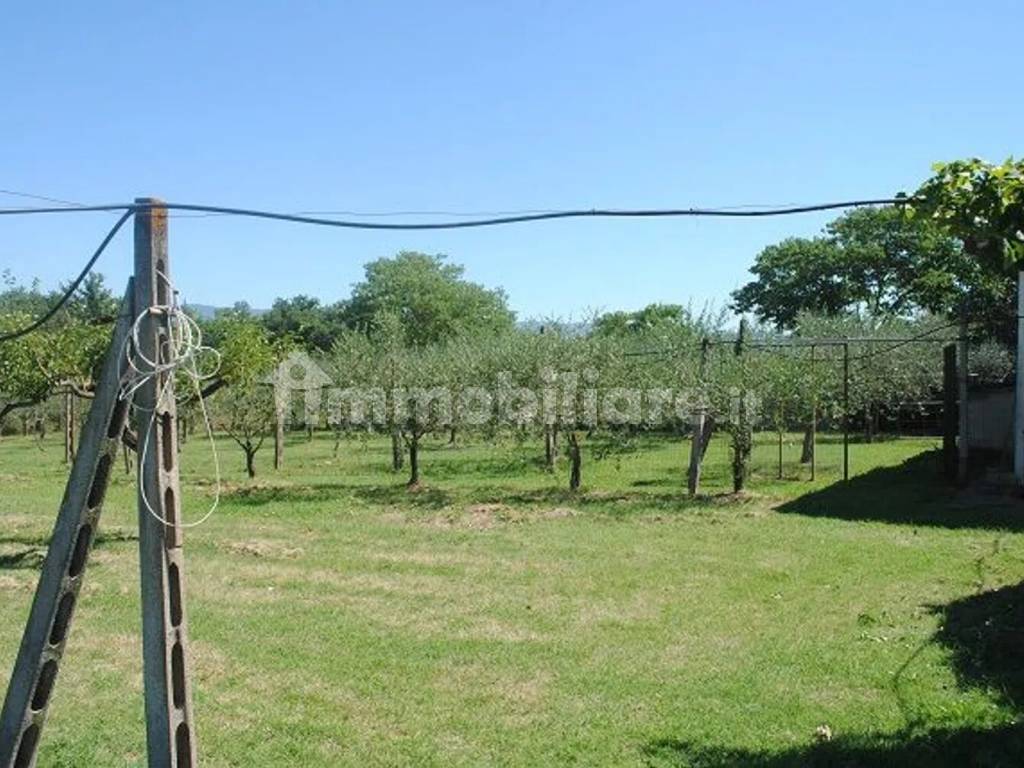 Terreno