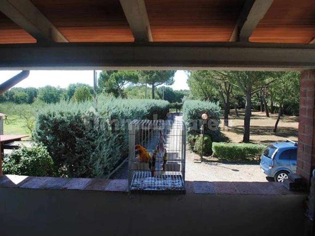 Giardino