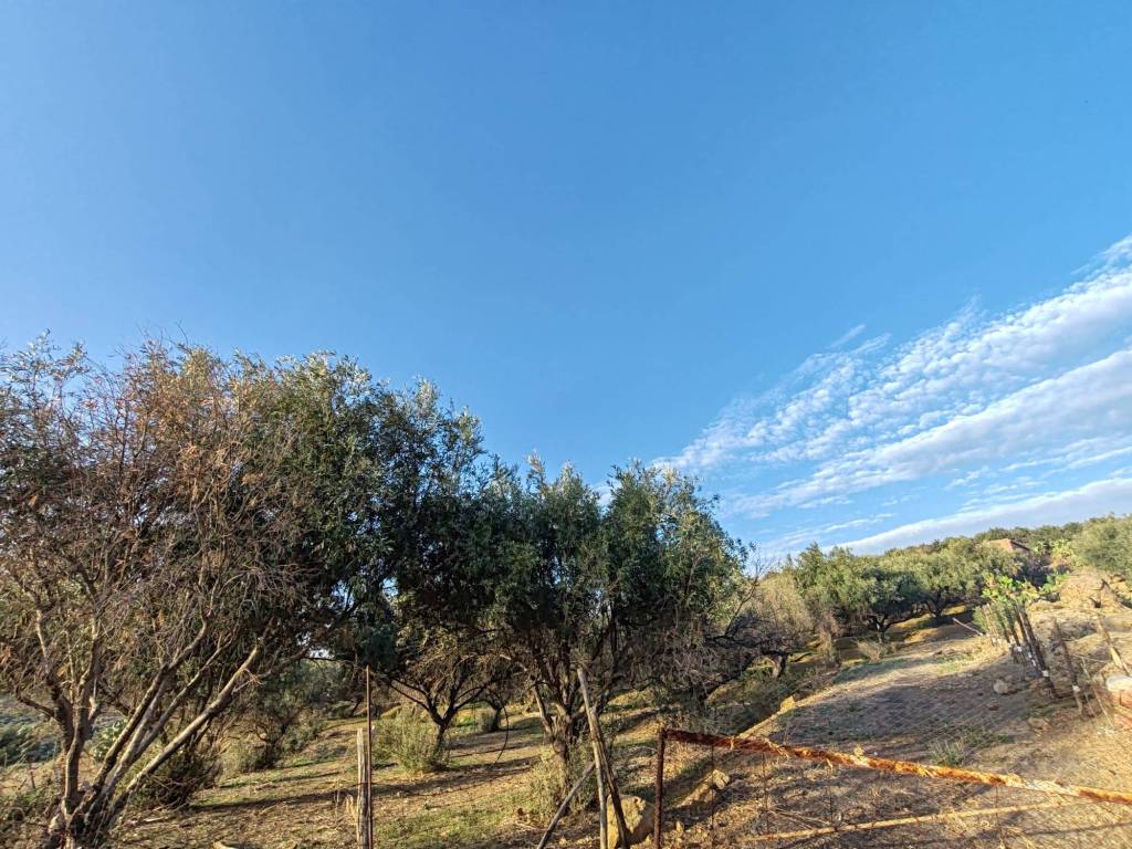 Terreno agricolo contrada carcaci, randazzo