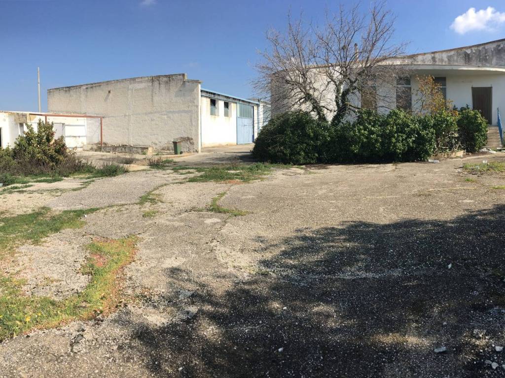 Capannone sp231, canosa di puglia
