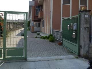 Zona