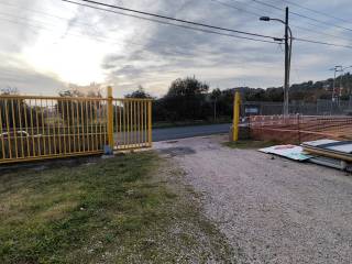 Zona
