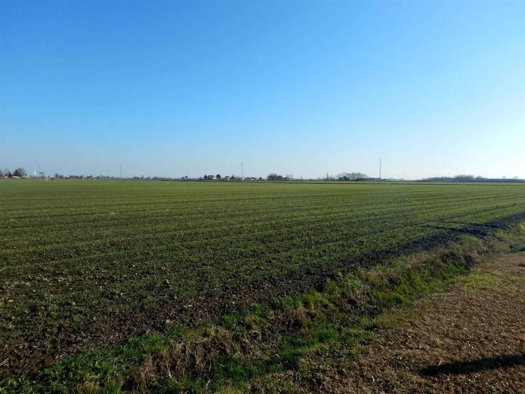 Terreno non edificabile, area rurale, poggio tre cancelli, follonica