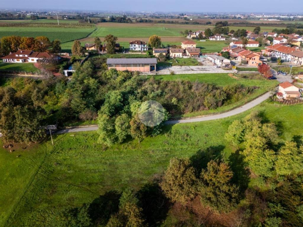Vista