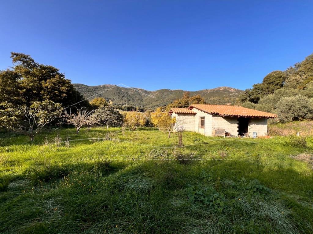 Terreno agricolo via sa tella, arbus