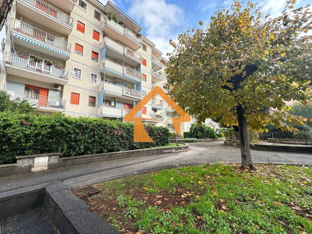 Quadrilocale viale olimpico, aversa