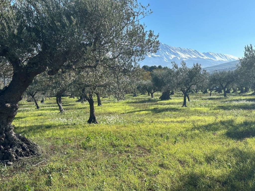 Terreno agricolo via san giovanni a marano, tocco da casauria