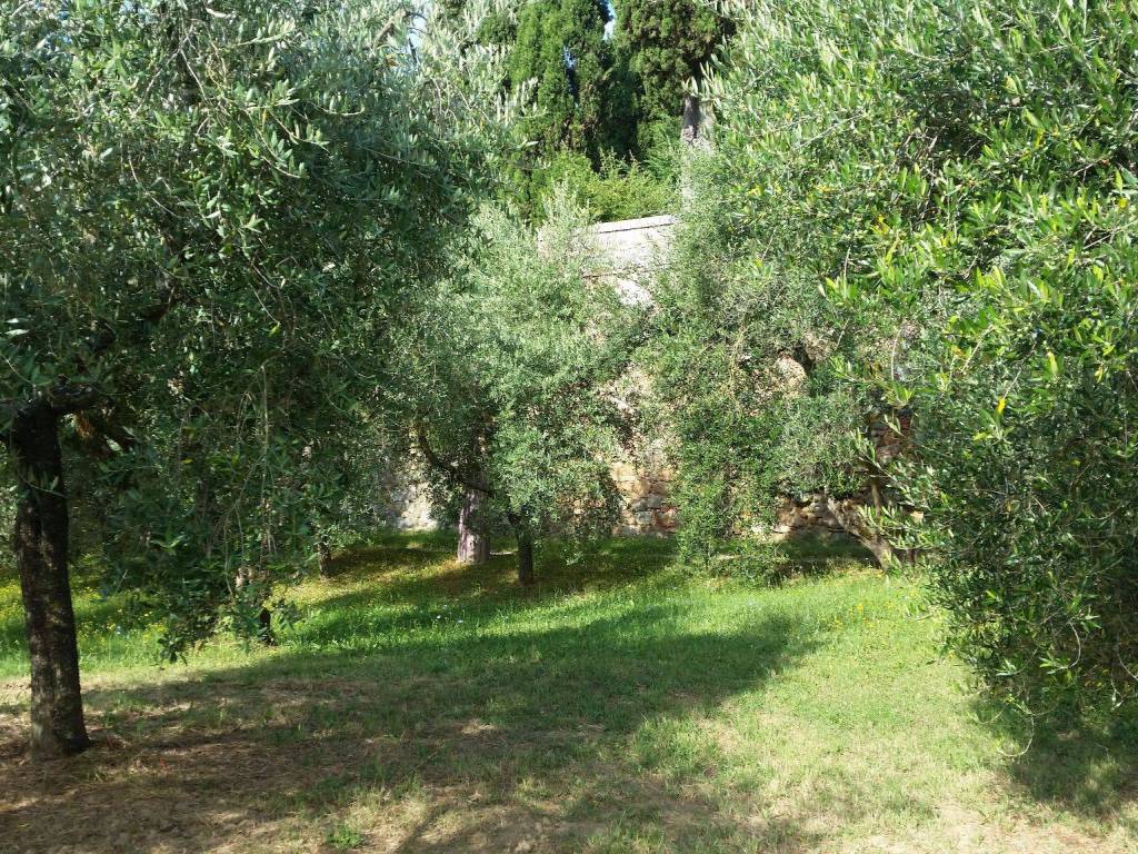 Terreno agricolo località pievino, torrita di siena