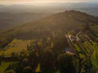 Vista