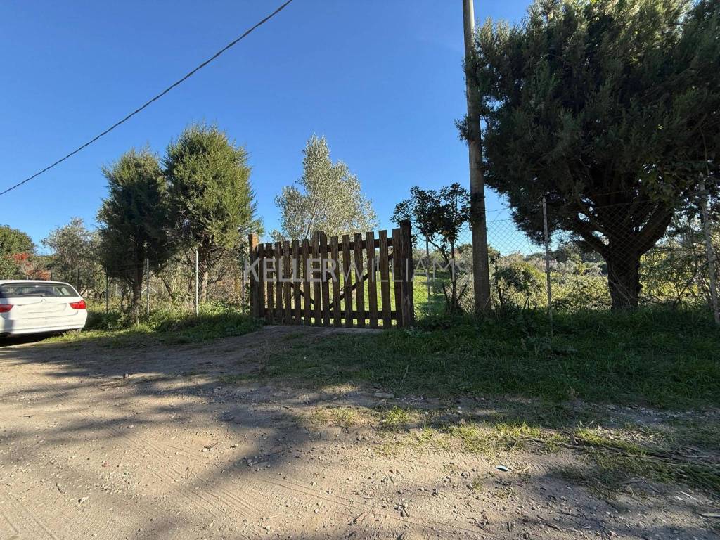 Terreno agricolo via giuseppe cederle, cesano, roma