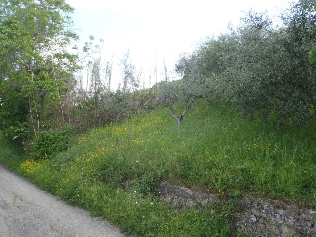 Terreno agricolo strada interpoderale casavarola, gambatesa