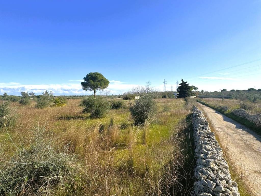 Terreno agricolo strada vicinale petri alfarano, tricase