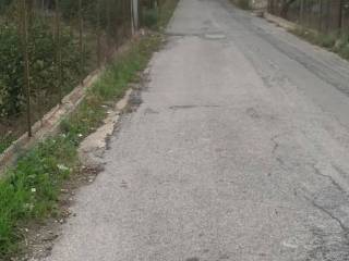 Zona