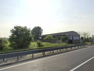 Zona