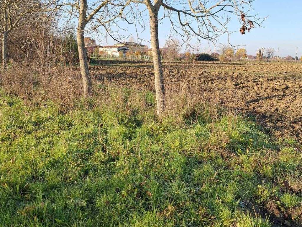 Terreno agricolo san lorenzo, calcara, valsamoggia