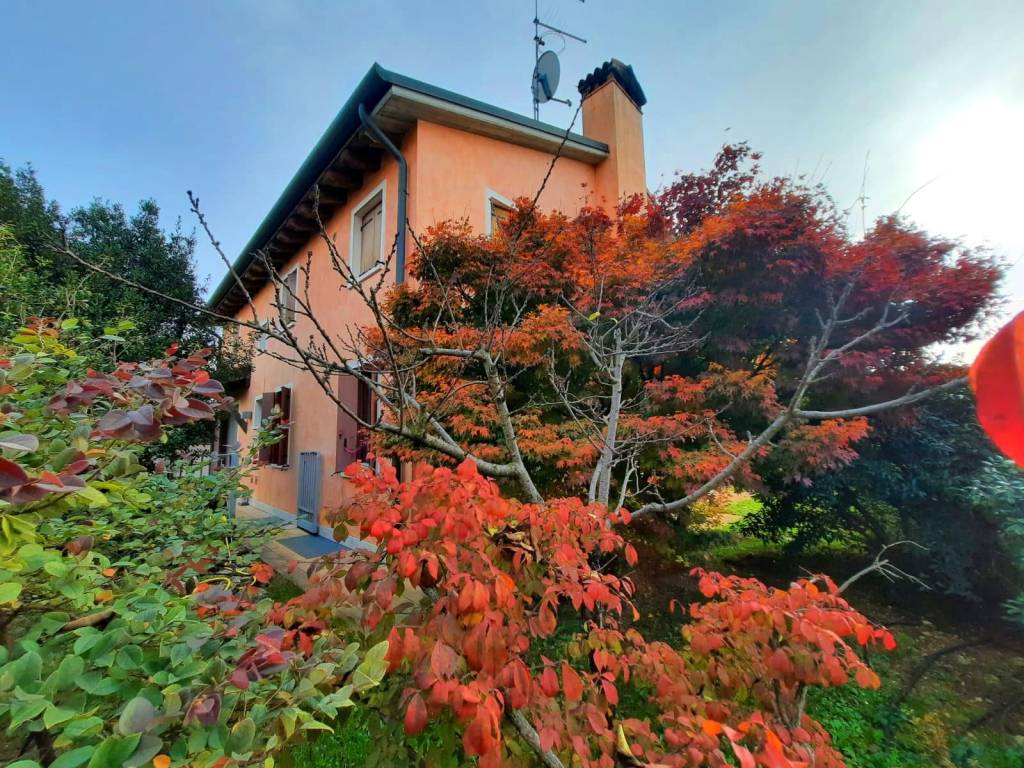 Villa unifamiliare via castellana, vedelago