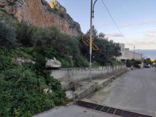 Zona