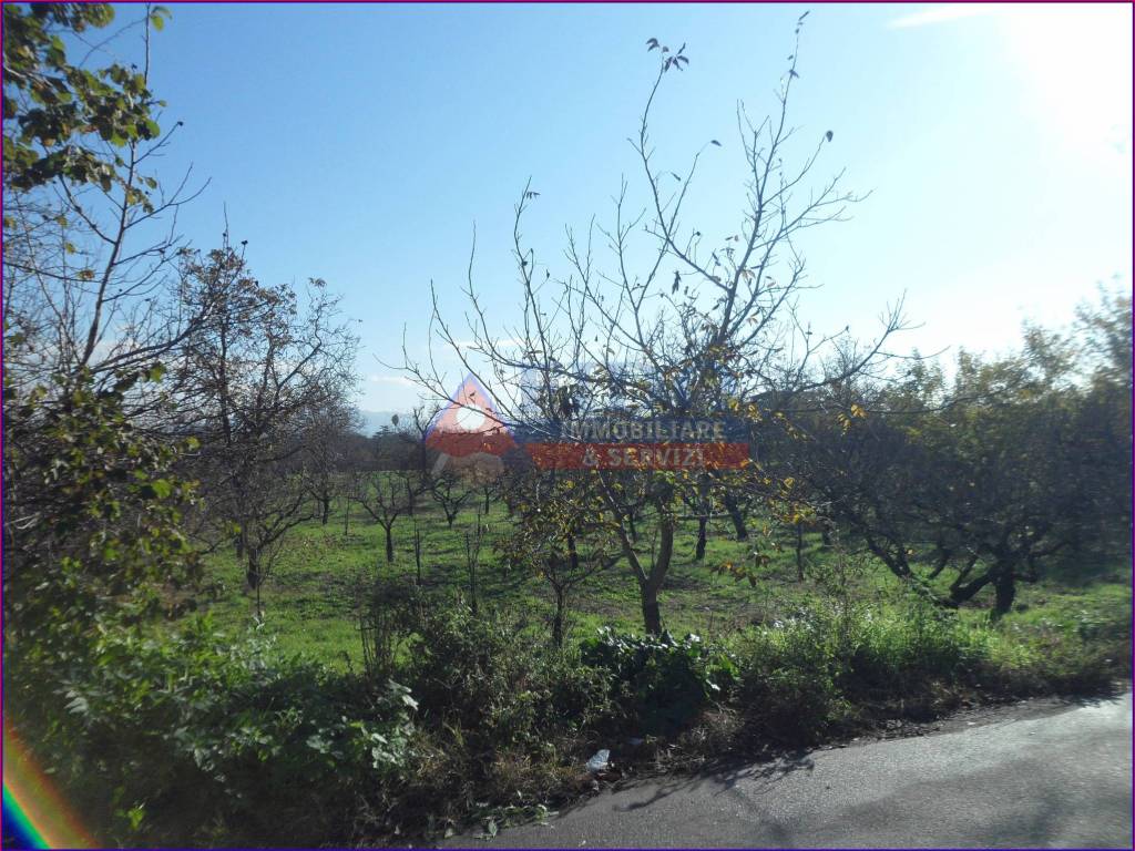 Terreno agricolo via vignariello, somma vesuviana