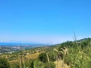 Vista