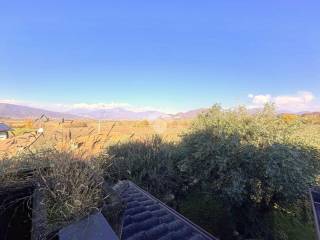 Vista