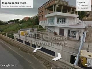 Zona