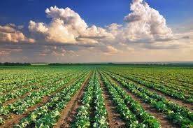 Terreno agricolo via san marco snc, san marco, fermo