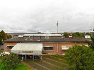 Vista