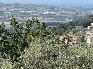 Vista