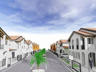 Zona