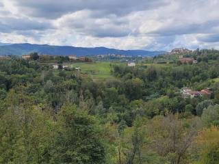 Vista