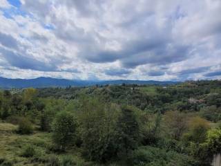 Vista