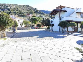 Zona