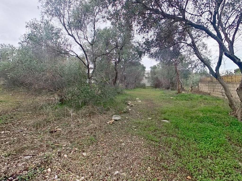 Terreno agricolo prima traversa strada detta della marina 30, san giorgio, bari