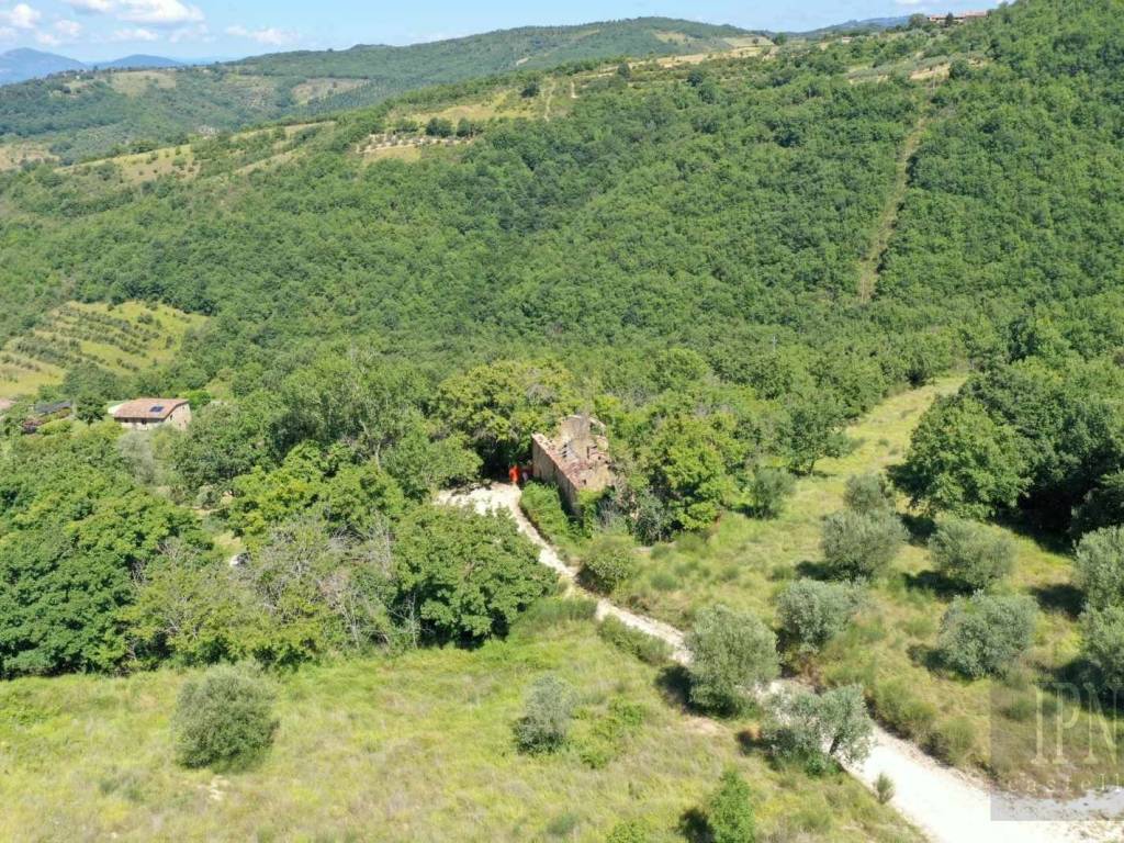 vendita-casale-in-strada-fratticiola-selvatica-monte-verde-6-perugia