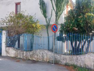 Zona