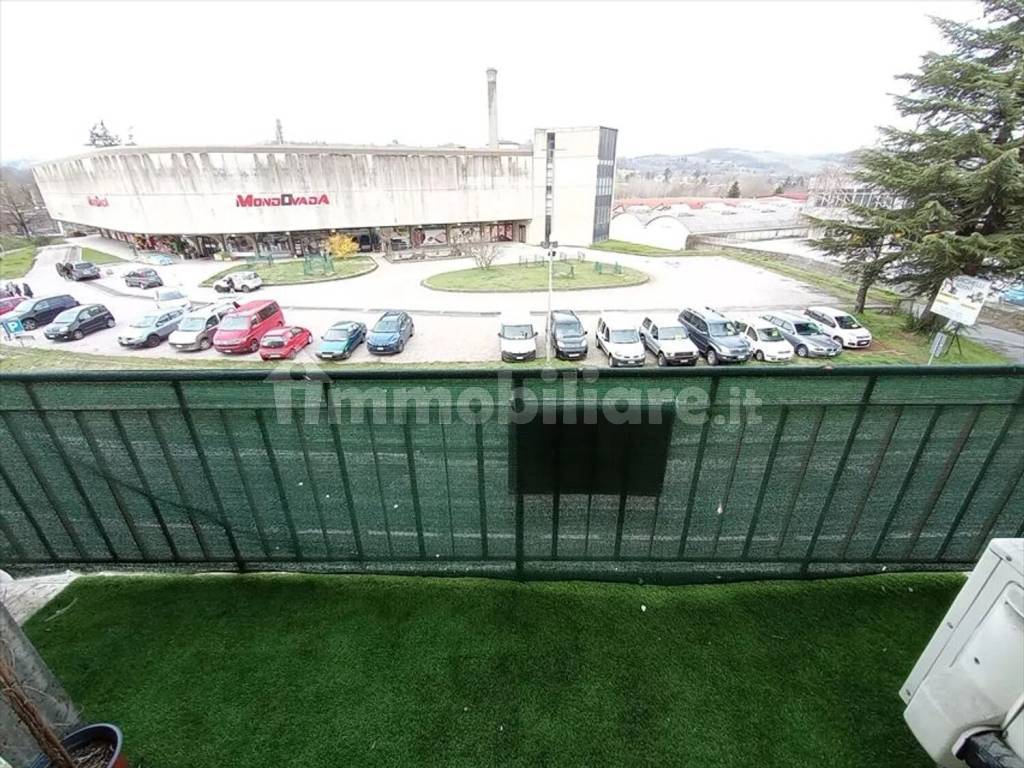Zona