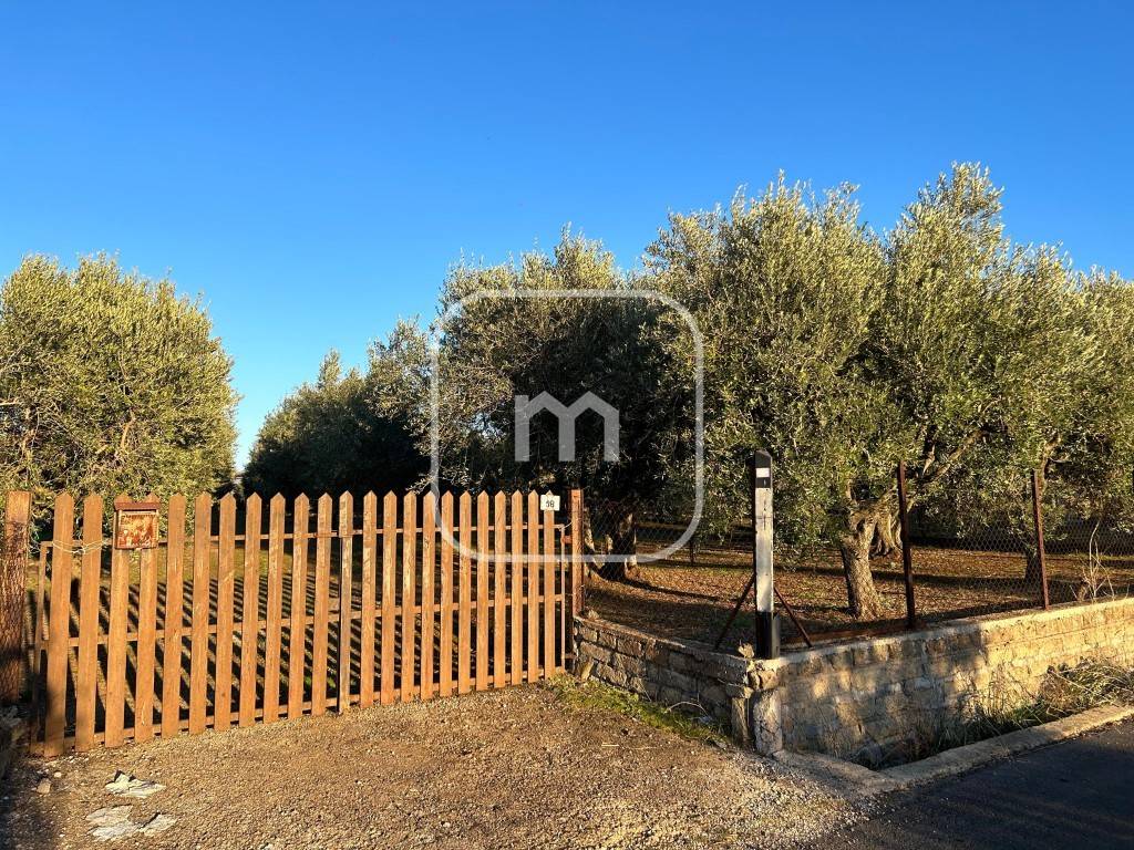 Terreno agricolo via colle pallavicini, centro, zagarolo