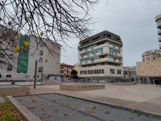 Zona