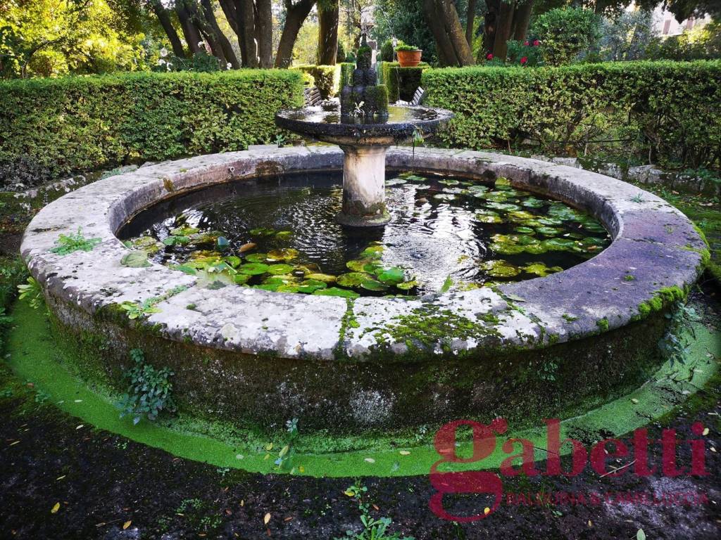 Giardino