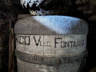Cantina