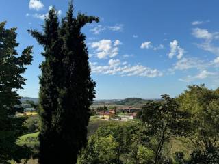 Vista